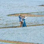 Jelajahi Keindahan Hitachi Seaside Park With Sabrina Anggraini