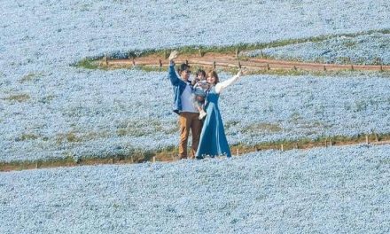 Jelajahi Keindahan Hitachi Seaside Park With Sabrina Anggraini