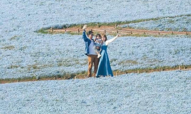 Jelajahi Keindahan Hitachi Seaside Park With Sabrina Anggraini