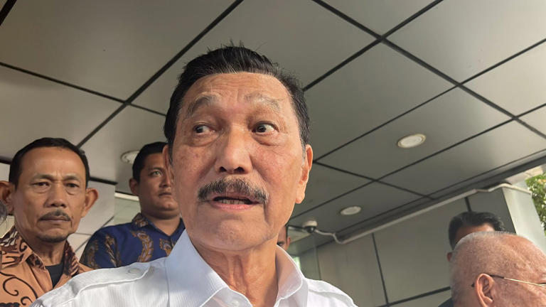 Luhut Laporkan Survei DEN Soal MBG Ke Prabowo