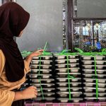 Kisruh Makan Gratis, Pengusaha MBG Tolak Keputusan BGN