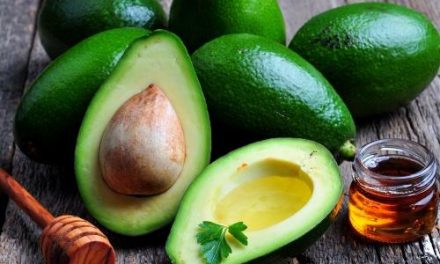 Manfaat Tersembunyi Alpukat! Berpotensi Stabilkan Gula Darah